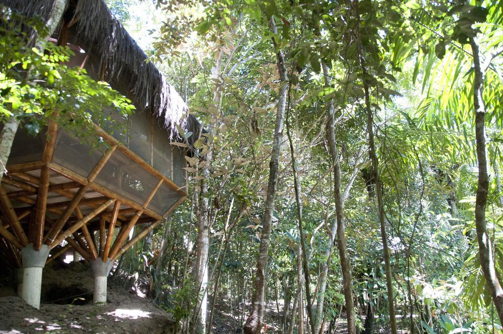 Universo Pol Bamboo Hostel Morro de São Paulo Cameră foto
