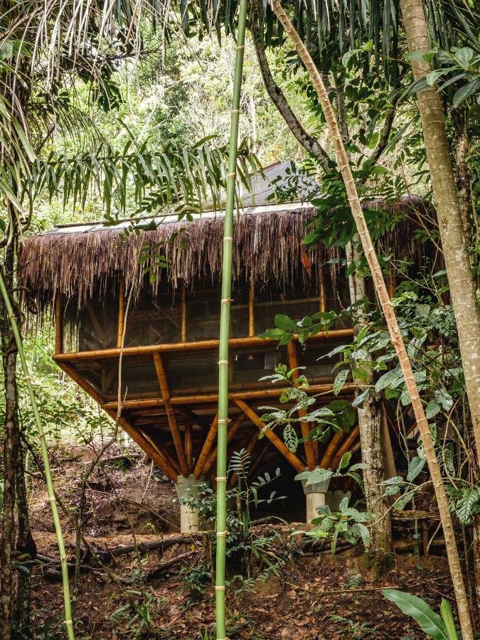 Universo Pol Bamboo Hostel Morro de São Paulo Exterior foto